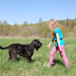 En flicka som sträcker fram handen mot en hund.