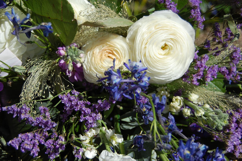 Vita rosor tillsammans med diverse lila blommor.