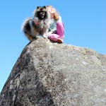 Hund och flicka på stor sten.