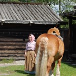 Ardennerhäst och kulla