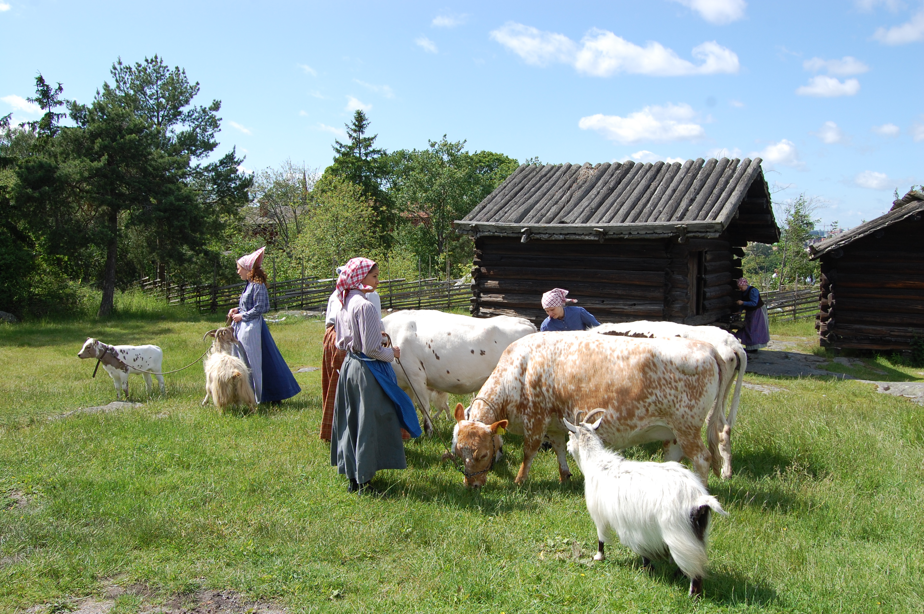 Buföring på Skansen